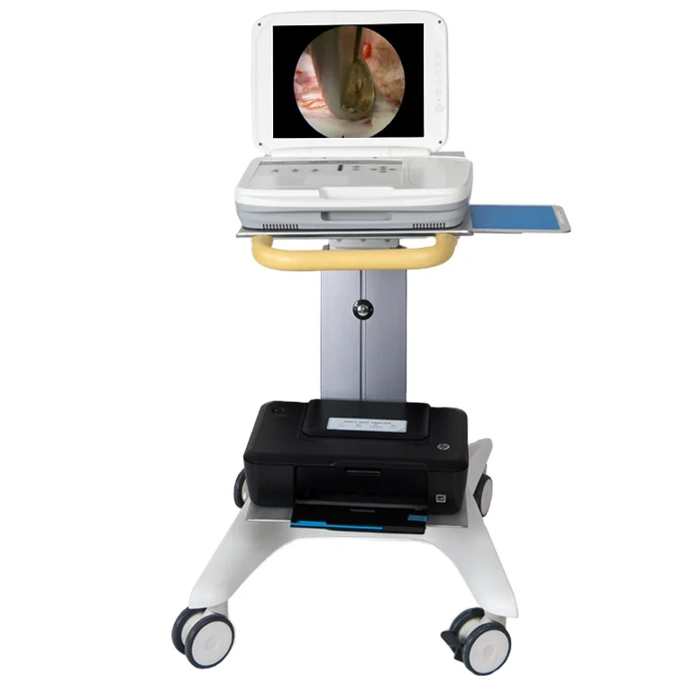 Medical Lab Images - YKD-9003 – przenośny, zintegrowany system endoskopowy